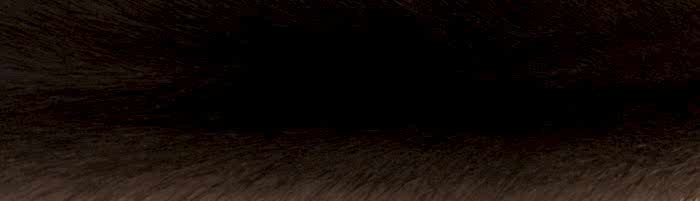 ����� ����� brown ��������� �. 2x0 (R122)