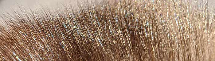 ������ ������� (�����.) 6 ���� ������ ������ �. lge (R160)