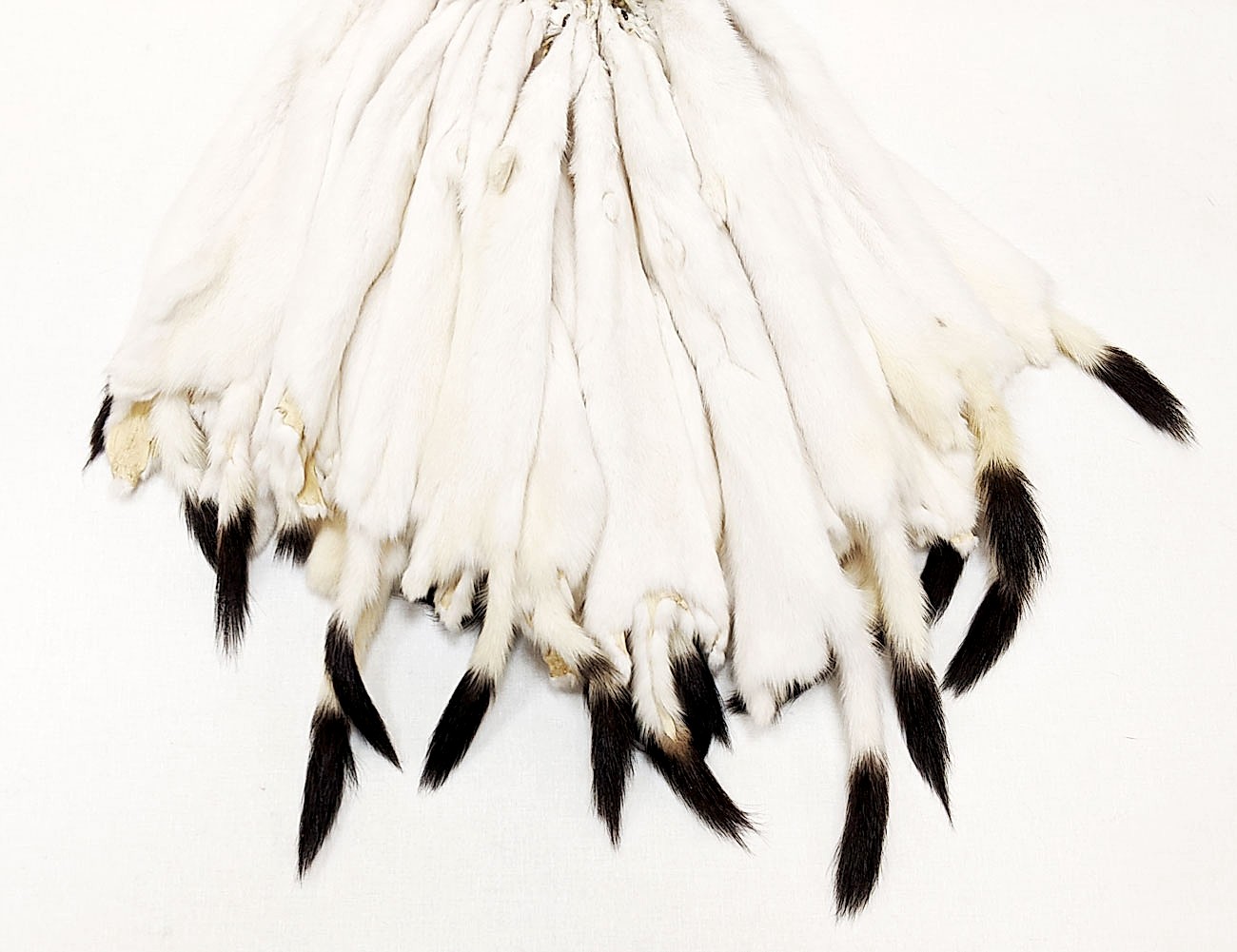 ��������� ����������� ������ �. sml (0010)