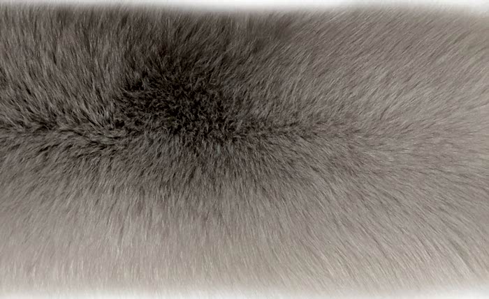 ����� ��������� (����.) ����� ������� ��������� �. 0 (R137)