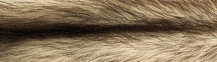 ���� ������������ ������� ������ �. 1 (R131)