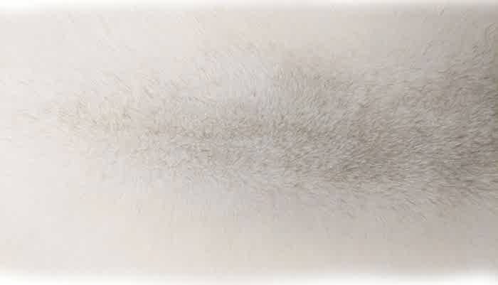 ����� ��������� (������.) ����� ��������� �. 0 (R134)