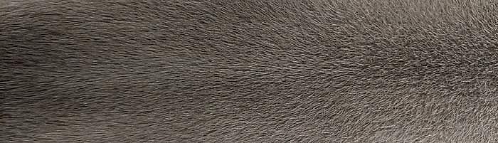 ����� ����� ������ ����� ��������� �. 1 (R114)