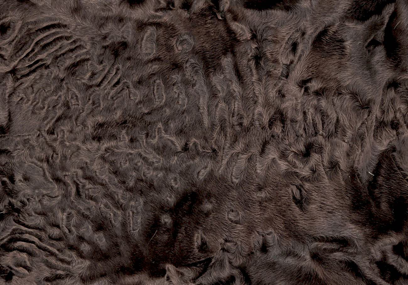 �������� (����.) ���������� ���������� (R169)