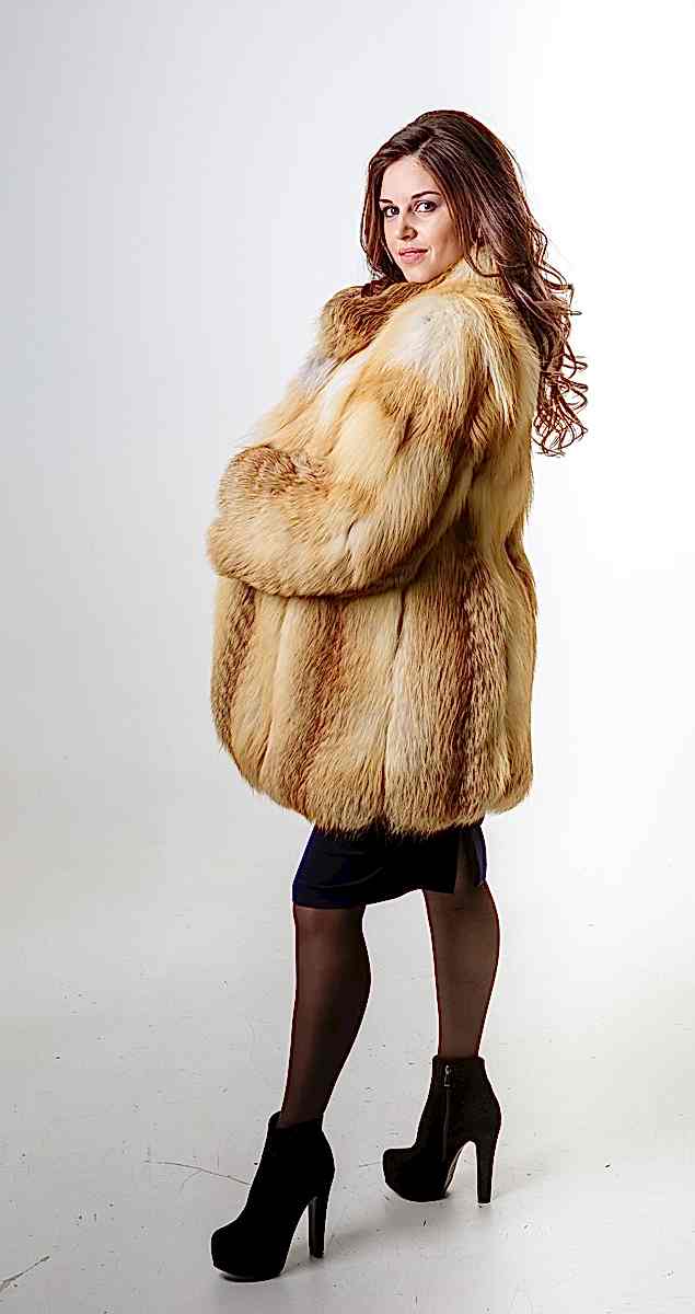 ���������� �� ���� ������, ������  558