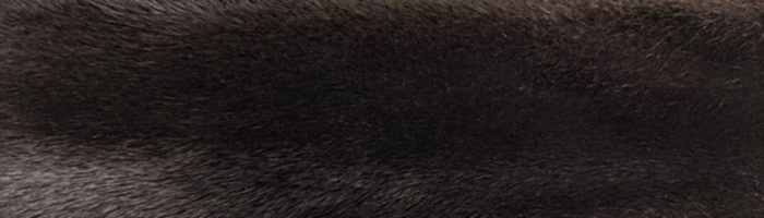 ����� ����� ������� ��������� �. 3x0 (R142)