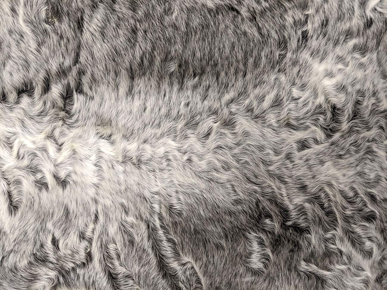 �������� ����� ���������� (0208)