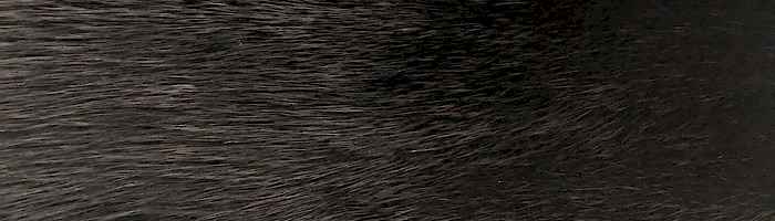 ����� ��������� (����.) black exclus. ����� �. 0 (R167)