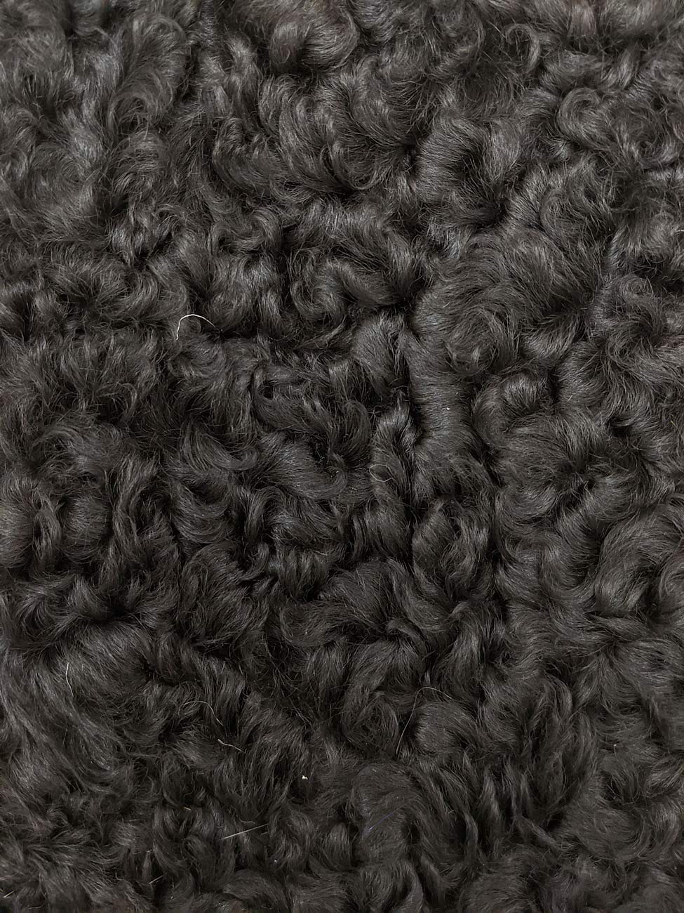 �������� (����.) ������ ���������� (0013)