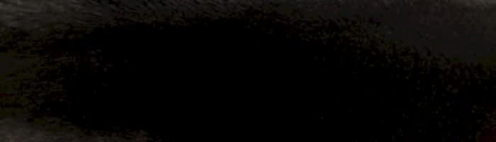 ����� ����� �������� ����� �. 3 (R115)