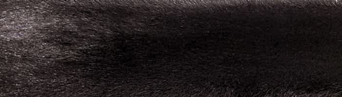 ����� ����� (����.) �������� ������ �. 0 (R126)